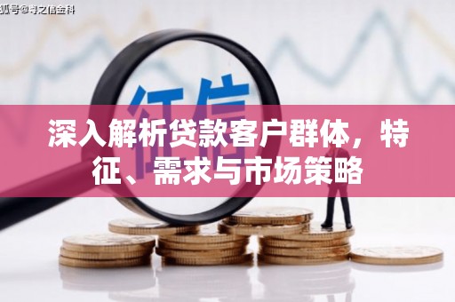 巴青深入解析贷款客户群体，特征、需求与市场策略