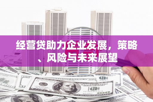 巴青经营贷助力企业发展，策略、风险与未来展望
