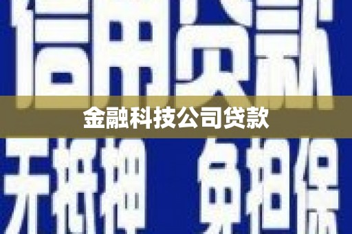 巴青金融科技公司贷款