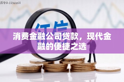巴青消费金融公司贷款，现代金融的便捷之选