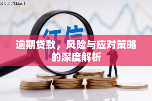 巴青逾期贷款，风险与应对策略的深度解析