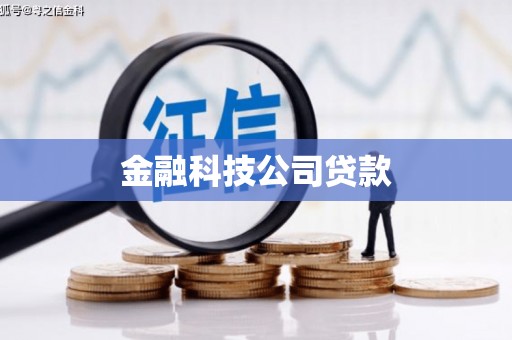 巴青金融科技公司贷款