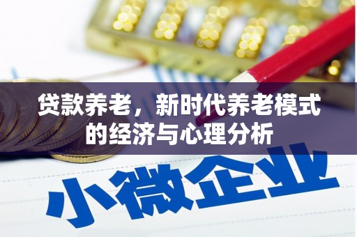 巴青贷款养老，新时代养老模式的经济与心理分析
