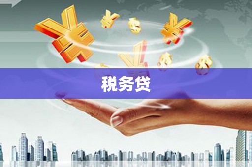巴青税务贷