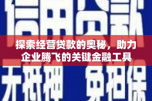 巴青探索经营贷款的奥秘，助力企业腾飞的关键金融工具