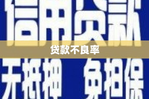 巴青贷款不良率