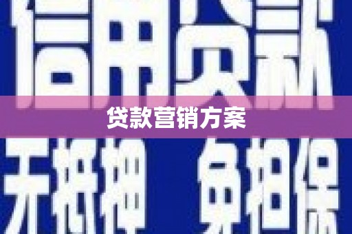 巴青贷款营销方案