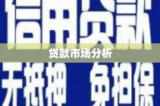 巴青贷款市场分析