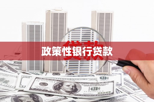巴青政策性银行贷款