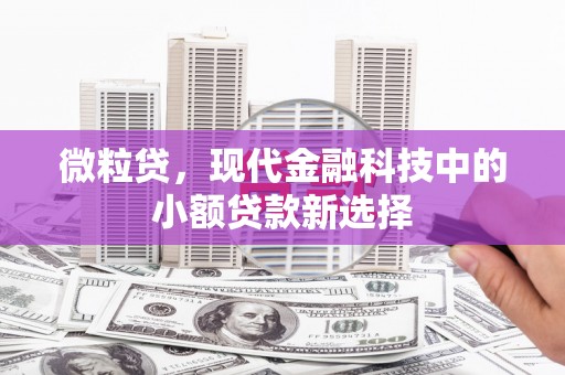 巴青微粒贷，现代金融科技中的小额贷款新选择