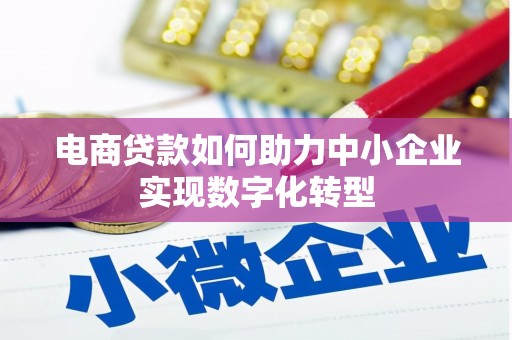 巴青电商贷款如何助力中小企业实现数字化转型