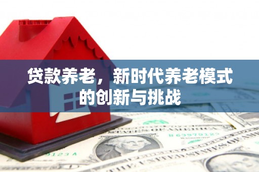巴青贷款养老，新时代养老模式的创新与挑战