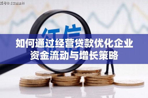 巴青如何通过经营贷款优化企业资金流动与增长策略