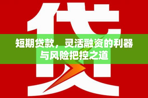 巴青短期贷款，灵活融资的利器与风险把控之道