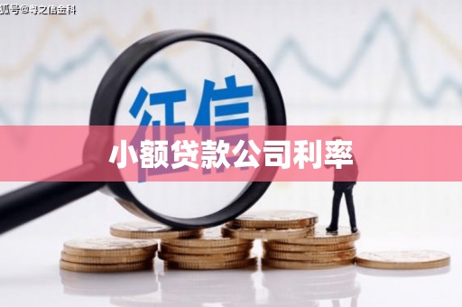 巴青小额贷款公司利率