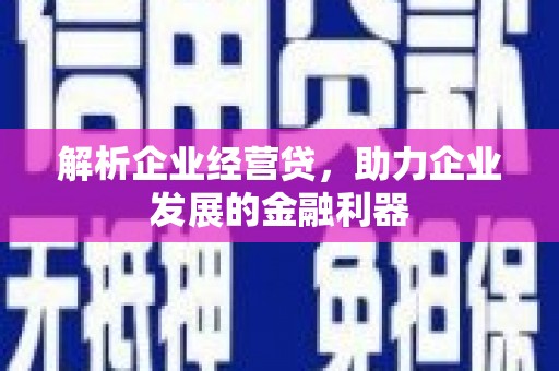 巴青解析企业经营贷，助力企业发展的金融利器