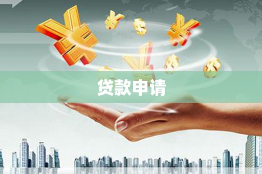 巴青贷款申请