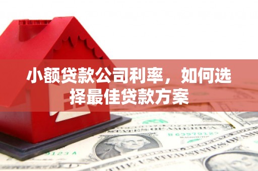 巴青小额贷款公司利率，如何选择最佳贷款方案