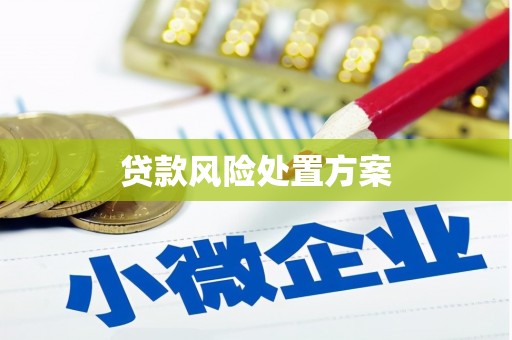 巴青贷款风险处置方案
