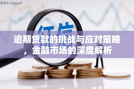 巴青逾期贷款的挑战与应对策略，金融市场的深度解析