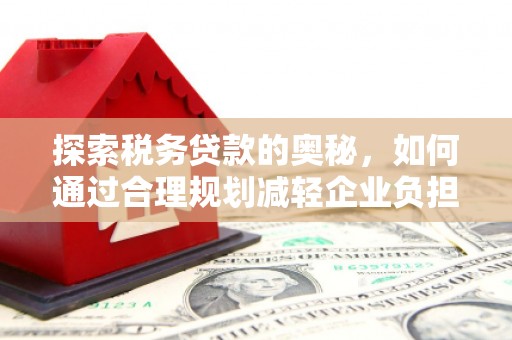 巴青探索税务贷款的奥秘，如何通过合理规划减轻企业负担