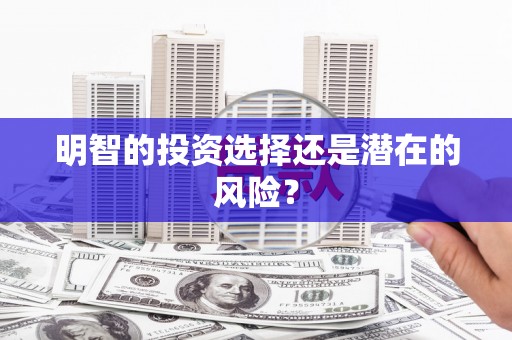 巴青明智的投资选择还是潜在的风险？