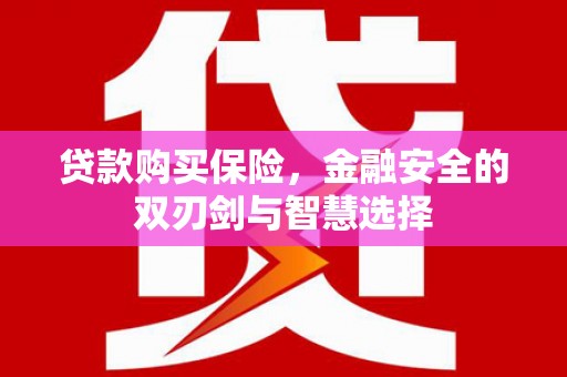 巴青贷款购买保险，金融安全的双刃剑与智慧选择