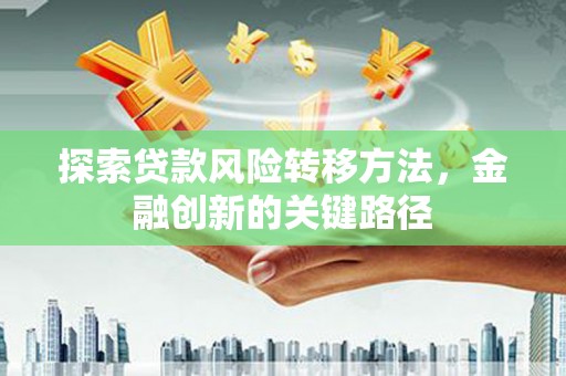 巴青探索贷款风险转移方法，金融创新的关键路径