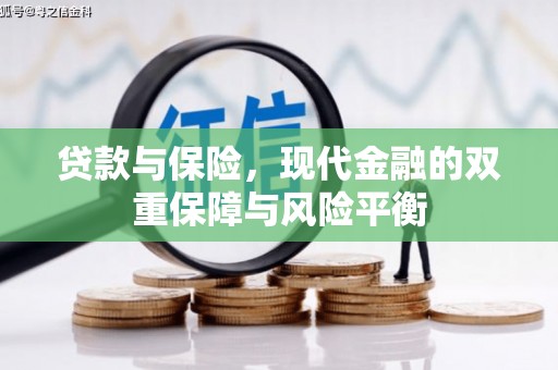 巴青贷款与保险，现代金融的双重保障与风险平衡