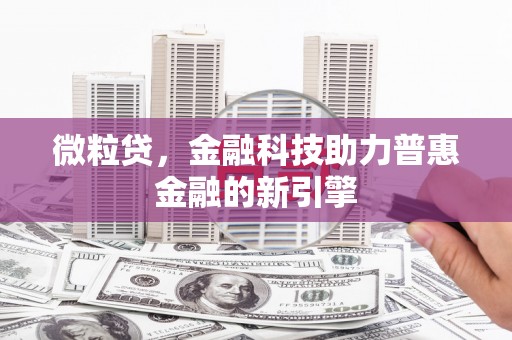 巴青微粒贷，金融科技助力普惠金融的新引擎