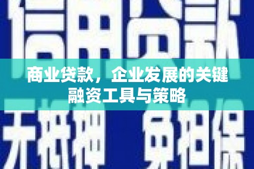 巴青商业贷款，企业发展的关键融资工具与策略