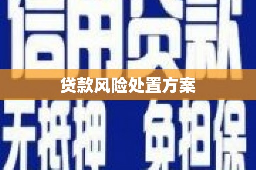 巴青贷款风险处置方案