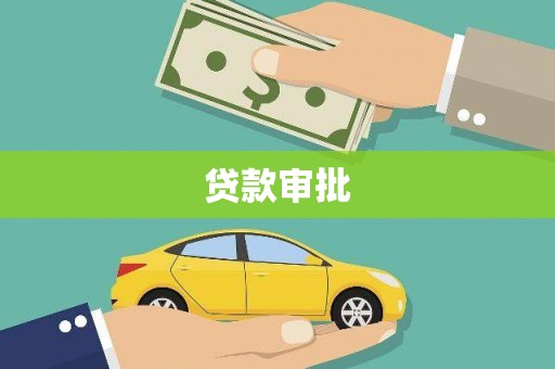 巴青贷款审批