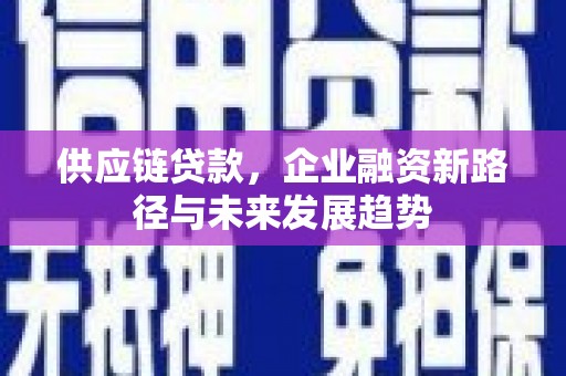 巴青供应链贷款，企业融资新路径与未来发展趋势