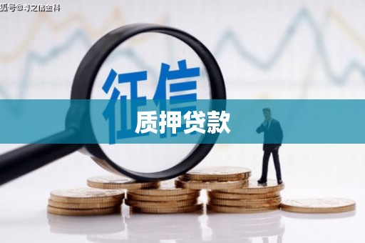 巴青质押贷款