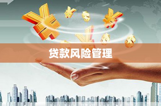 巴青贷款风险管理