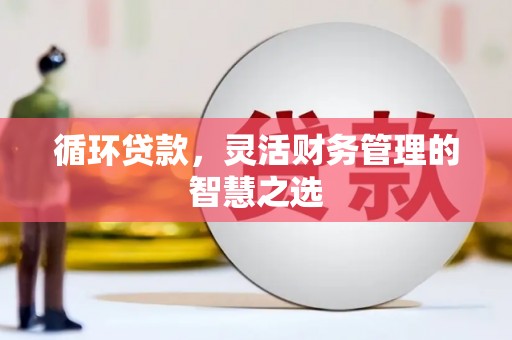 巴青循环贷款，灵活财务管理的智慧之选