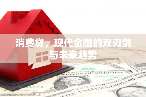 巴青消费贷，现代金融的双刃剑与未来趋势