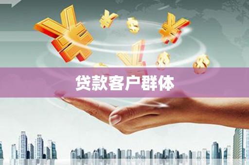 巴青贷款客户群体