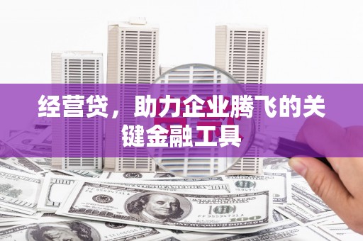 巴青经营贷，助力企业腾飞的关键金融工具