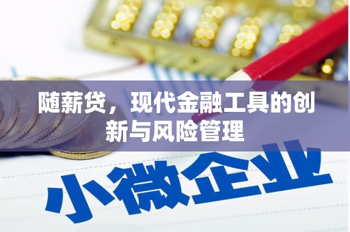 巴青随薪贷，现代金融工具的创新与风险管理