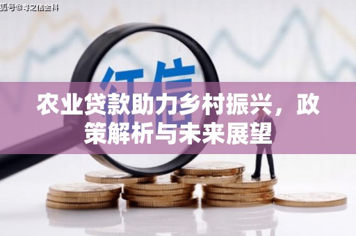 巴青农业贷款助力乡村振兴，政策解析与未来展望