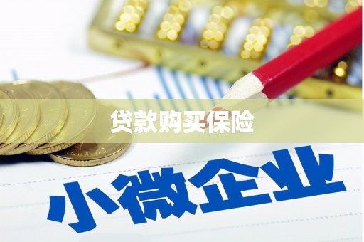 巴青贷款购买保险