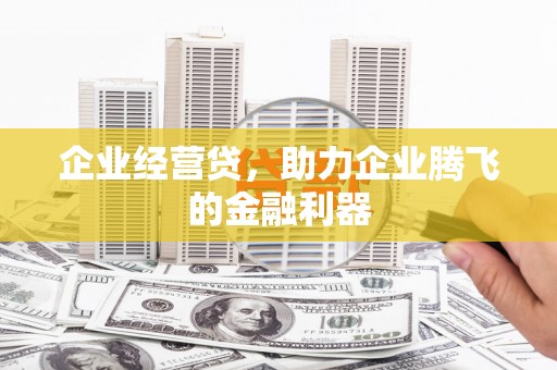 巴青企业经营贷，助力企业腾飞的金融利器