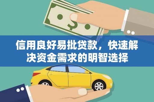 巴青信用良好易批贷款，快速解决资金需求的明智选择
