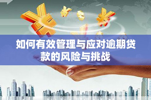 巴青如何有效管理与应对逾期贷款的风险与挑战
