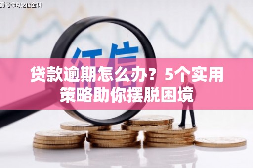 巴青贷款逾期怎么办？5个实用策略助你摆脱困境