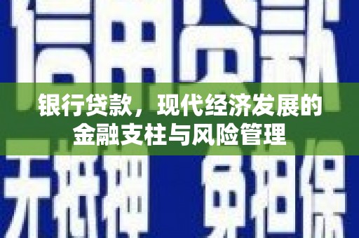 巴青银行贷款，现代经济发展的金融支柱与风险管理