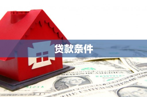 巴青贷款条件
