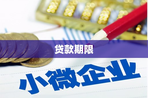 巴青贷款期限